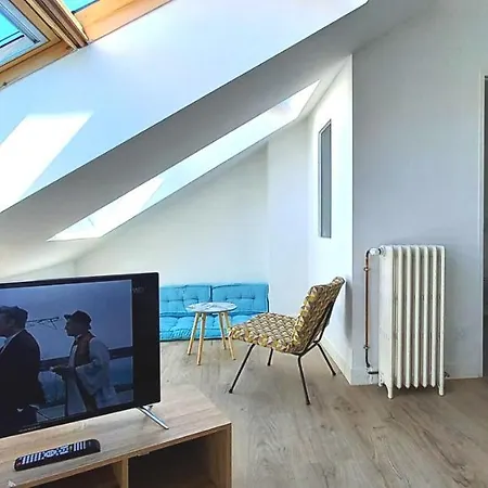 Histoire De Loire La Gabare 3* Saumur